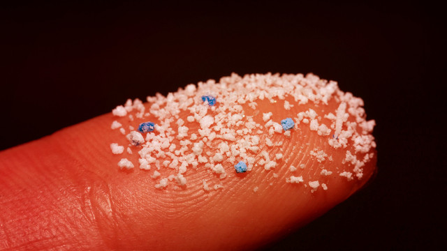 Ilustrasi Mikroplastik. Foto: Shutter Stock