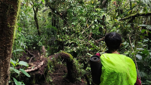 Selepas jalur kebun teh memasuki jalur pendakian hutan Gunung Kembang yang berupa hutan semak belukar dan tanjakan curam. Foto diambil ketika turun, hari telah terang. Foto: Willy Andryan. 