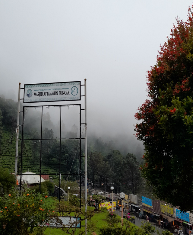 Pinggir Masjid Atta'Awun (19/11/2021). Sumber: dokumentasi pribadi.