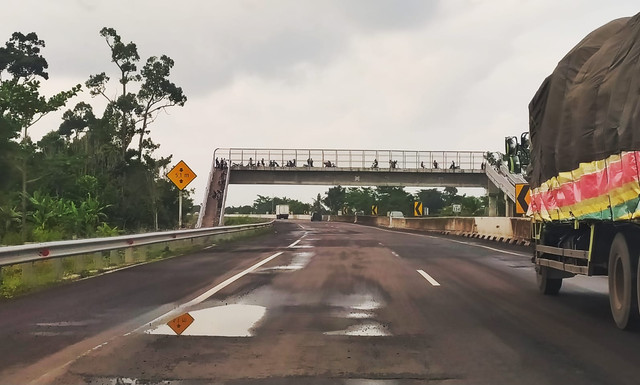 Tol Palembang-Kayu Agung. Foto: Dok. Urban Id