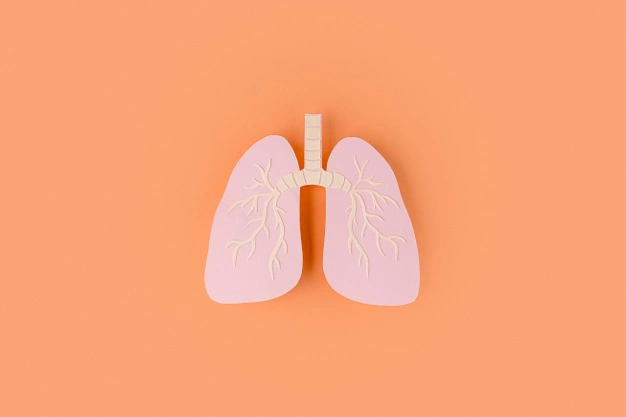 Paru-paru merupakan organ dalam tubuh manusia yang menyimpan udara dalam volume atau kapasitas tertentu. Foto: Freepik.com