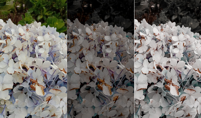 Ilustrasi hasil foto dengan rumus Lightroom Dark Aqua: sebelum di edit (kiri), preset Dark Aqua (tengah), preset Dark Aqua V2 (kanan). Foto: Nada Shofura/kumparan