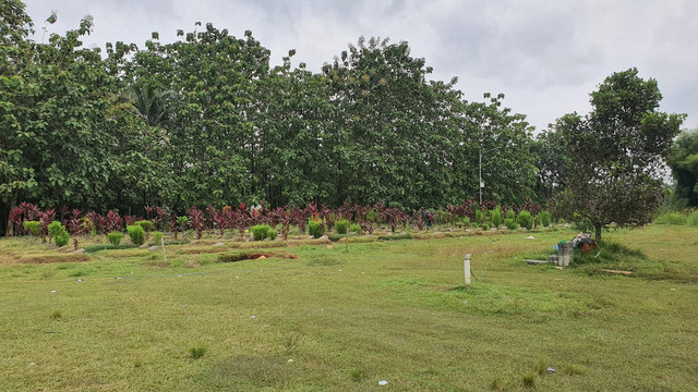 Lahan Mantan Direktur BAIS (Badan Intelijen Strategis) Mayjen TNI (Purn) Emack Syahdzily di Sawangan Depok yang dicaplok mafia tanah.  Foto: Dok. Istimewa