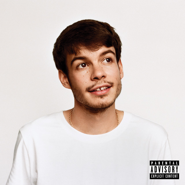 Alexander O'Connor atau dikenal dengan nama panggung Rex Orange Country. Foto: Spotify