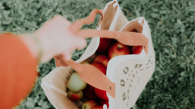 source : https://unsplash.com/photos/_8iqc5-cG-Y