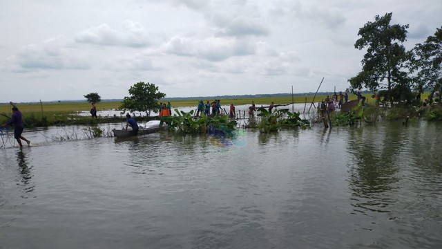 Warga terdampak jebolnya tanggul Kali Ingas (afvoer) di Desa Kedungprimpen Kecamatan Kanor Kabupaten Bojonegoro, saat memanen padinya yang terendam air. Sabtu (22/01/2022). (foto: Dok Istimewa)