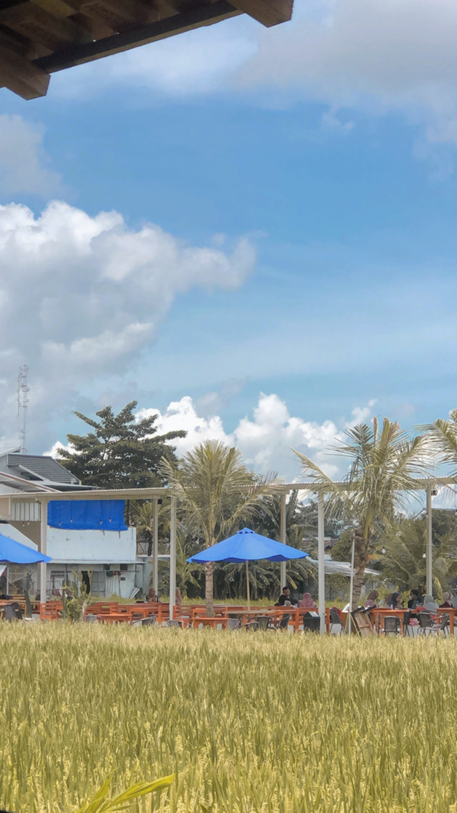 Ancaman kelaparan telah lama menjadi salah satu isu global dimana fenomena ini tidak hanya menjadi masalah di suatu negara, namun banyak negara yang sedang berjuang melawan isu ancaman kelaparan ini. FOTO : NATASYA ARDIRA