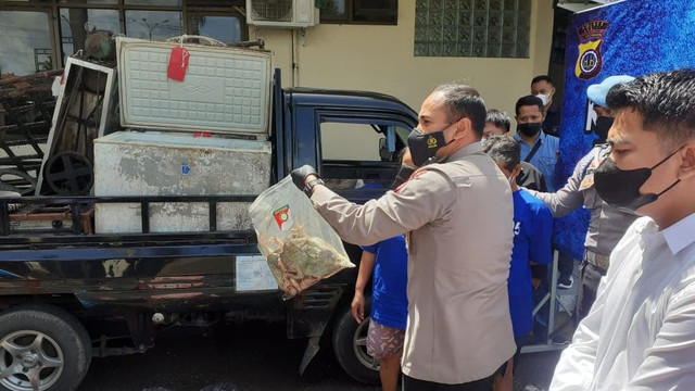 Polres Bantul menunjukkan ayam tiren yang dipakai produsen bakso. Foto: Erfanto/Tugu Jogja