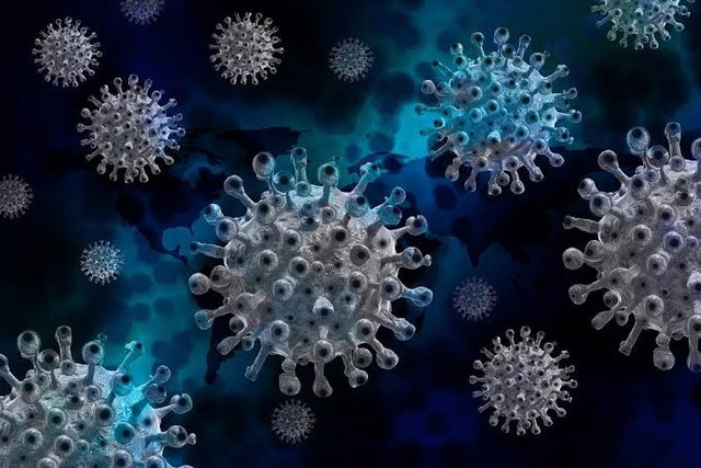 Virus adalah mikrorganisme yang memiliki peran yang menguntungkan maupun merugikan bagi kehidupan makhluk hidup lainnya. Foto: Pixabay.com