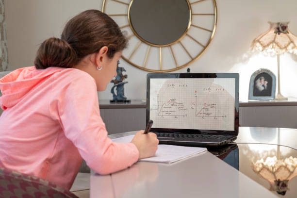 Ilustrasi seorang murid mempelajari persamaan linear dua variabel. Foto: iStock