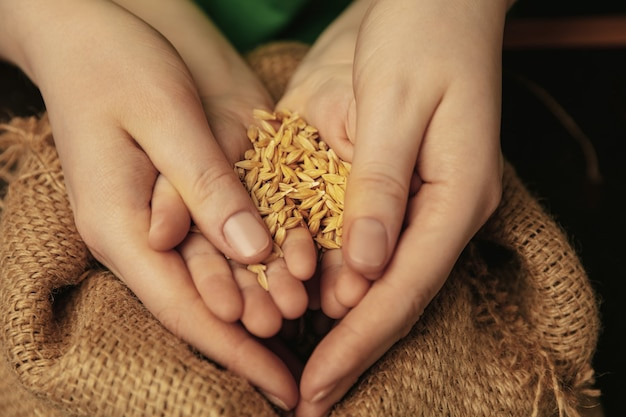 Illustrasi Zakat Fitrah. Foto: Freepik