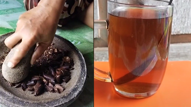 Teh herbal dari kulit salak, dipercaya punya kasiat anti-diabetes. (Foto: @mazkacuk1/TikTok)