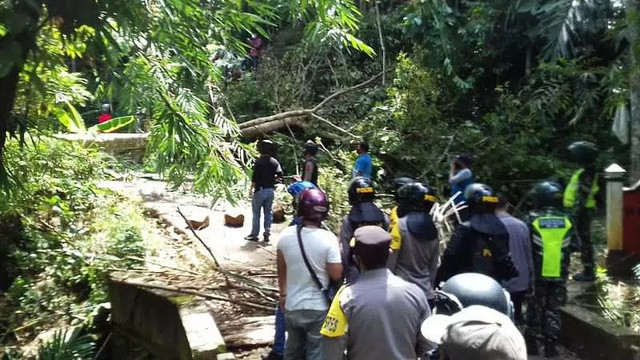 Pohon ditebang untuk menghalangi jalan ke Balai Desa Wadas, sebagai bentuk penolakan rencana sosialisasi dalam rangka inventarisasi dan identifikasi bidang tanah untuk pembangunan Bendungan Bener. Foto: ANTARA