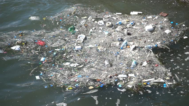 Contoh sampah plastik yang tercemar di ekosistem laut (Sumber: Shutterstock). 