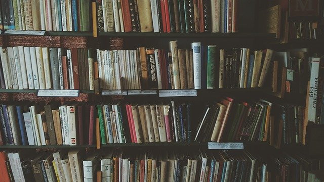 Ilustrasi buku sebagai sumber literatur. Foto: Pixabay
