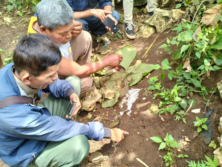 BKSDA Belum Pastikan Hewan yang Muncul di Gunungkidul Macan | kumparan.com
