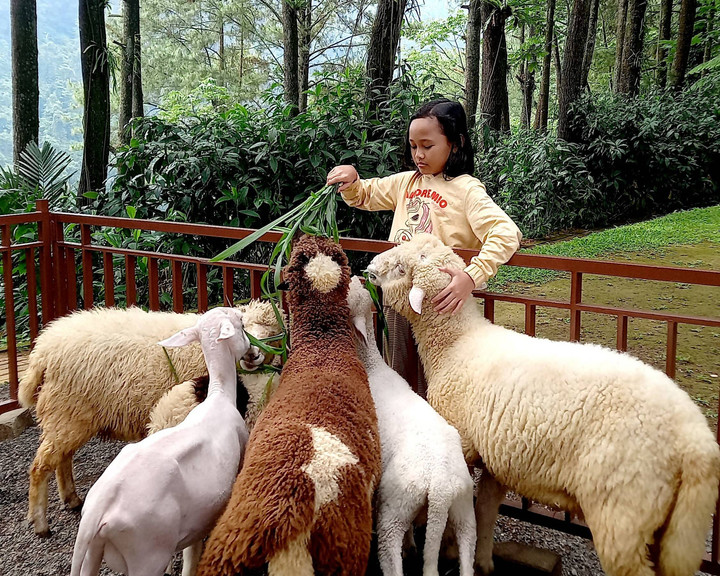 Skype-da porno orgazm Xotinimni uyda birga sikamiz