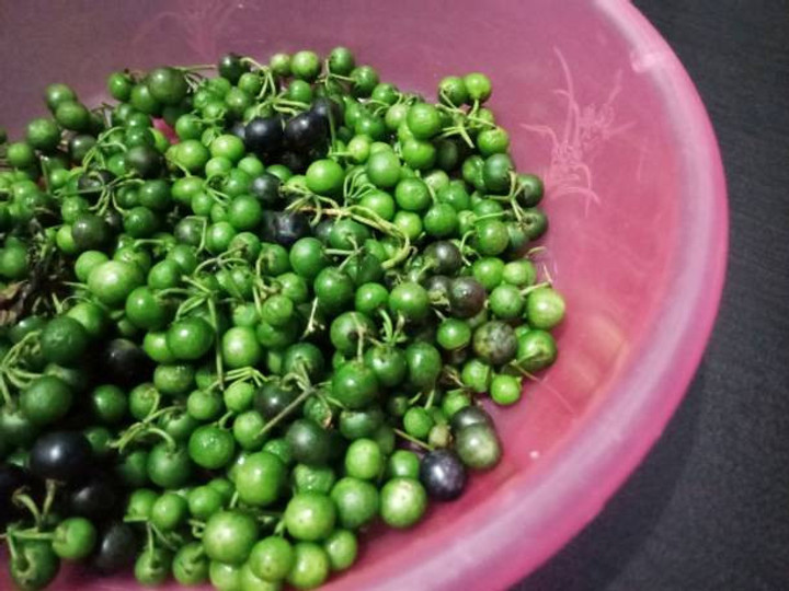 Apakah Buah Ranti Bisa Dimakan? Ini Fakta dan Manfaatnya | kumparan.com