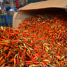 Cabai Rawit Merah