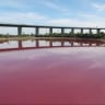 Danau Pink