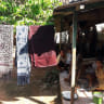 Batik Tenun Gedog