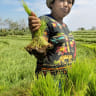 Pupuk Indonesia