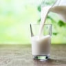 Susu