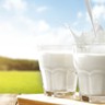Susu Sapi Segar Bebas Laktosa