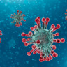 Novel Coronavirus