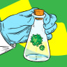 Rapid Test