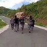 Jenazah di Mamuju Ditandu 13 KM