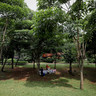 Pungli Foto di Tebet Eco Park