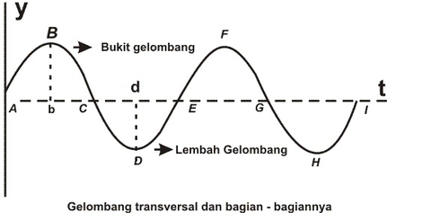 gelombang yang arah rambatnya tegak lurus dengan arah getarnya adalah