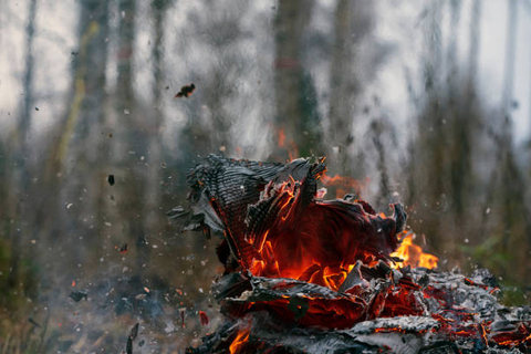 Dapatkah Kertas Yang Telah Menjadi Abu Kembali Seperti Semula Ini Penjelasannya Kumparan Com