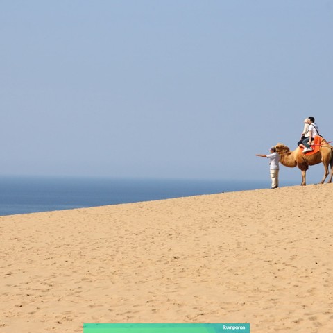 Tottori, Gurun Pasir Terbesar di Jepang yang Terbentuk Akibat Letusan Gunung Api (3)