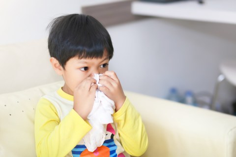 Gejala Dan Penyebab Polip Hidung Pada Anak Kumparan Com