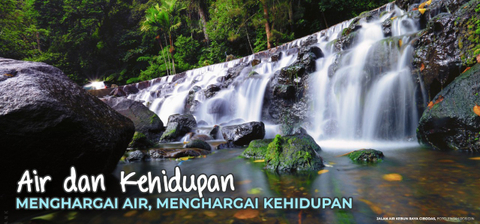 Tumbuhan Sebagai Penjaga Ketersediaan Air Kumparan Com