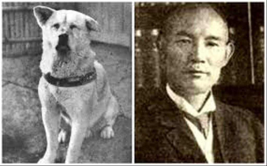 Hachiko, Kisah Anjing Paling Setia dalam Sejarah di Tokyo
