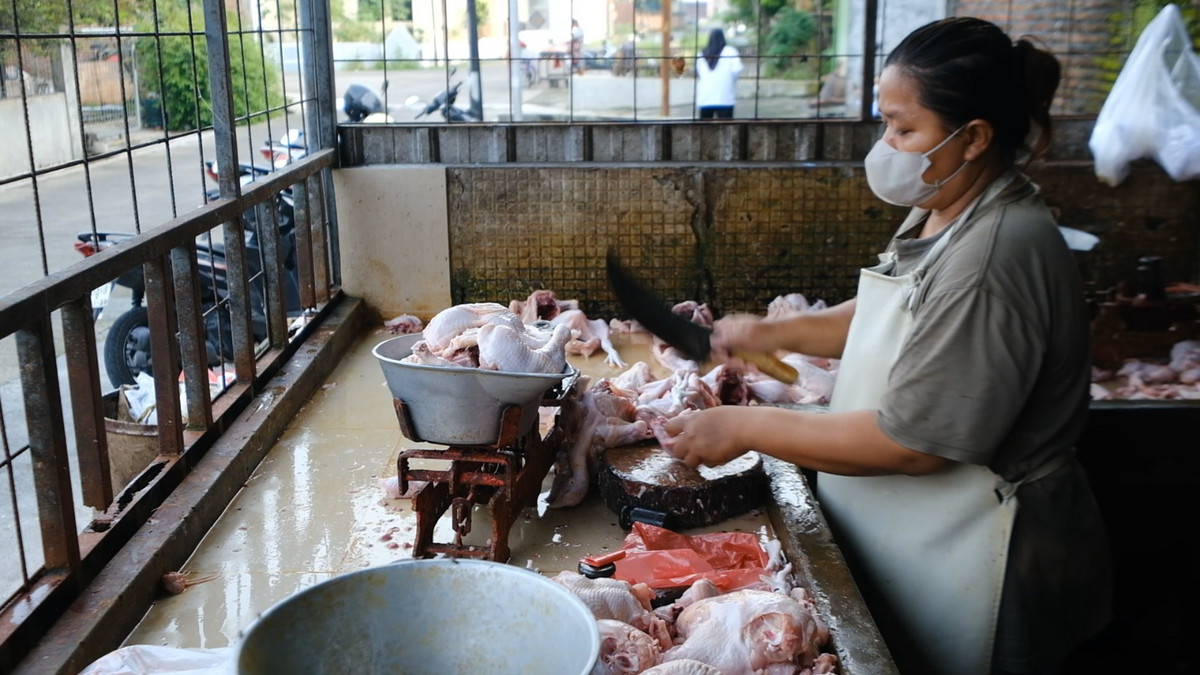 BGN beberkan 83,6% Pemasok Bahan Baku MBG dari UMKM: Kita Terus Perkuat Verifikasi