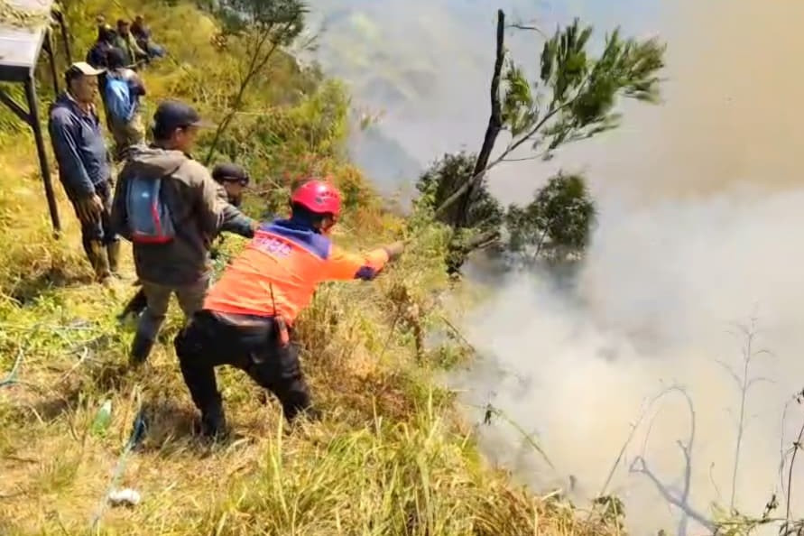 Ribuan Hektare Lahan di Jatim Hangus Akibat Ulah Manusia