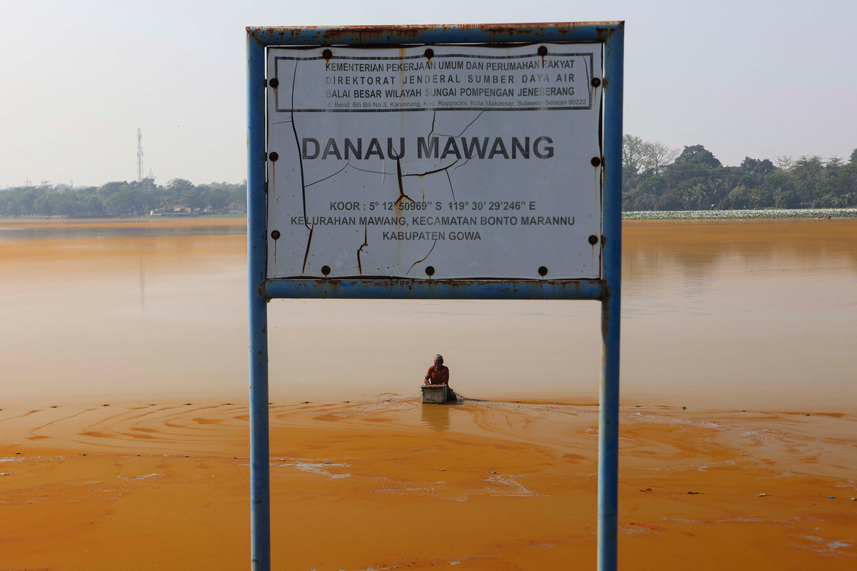 Ledakan Alga yang Mengancam Ekosistem Ikan di Danau Mawang, Sulsel