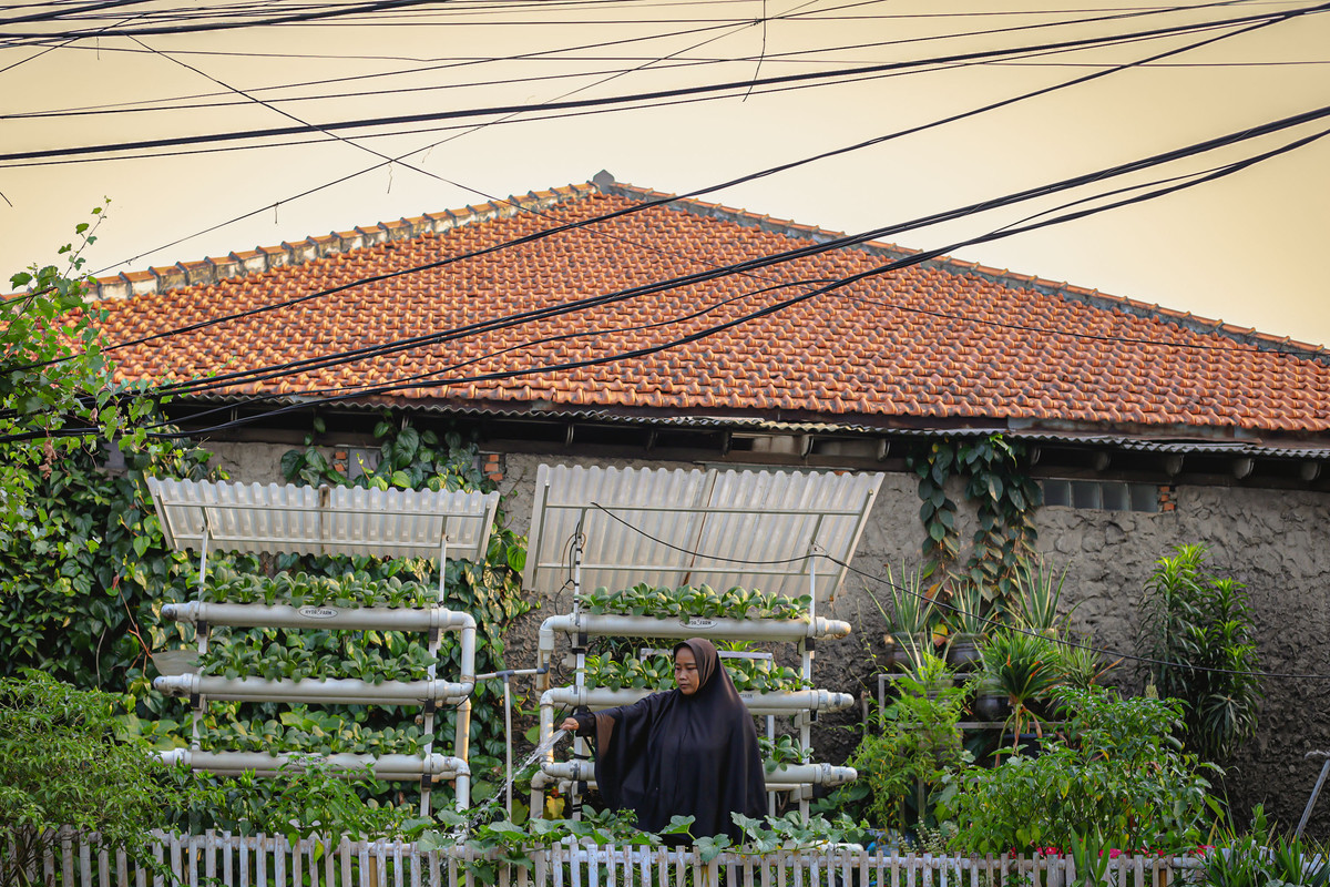 Dari Kebun ke Meja Makan, Ibu-Ibu PKK Kebayoran Edukasi Anak Tanam Sayur