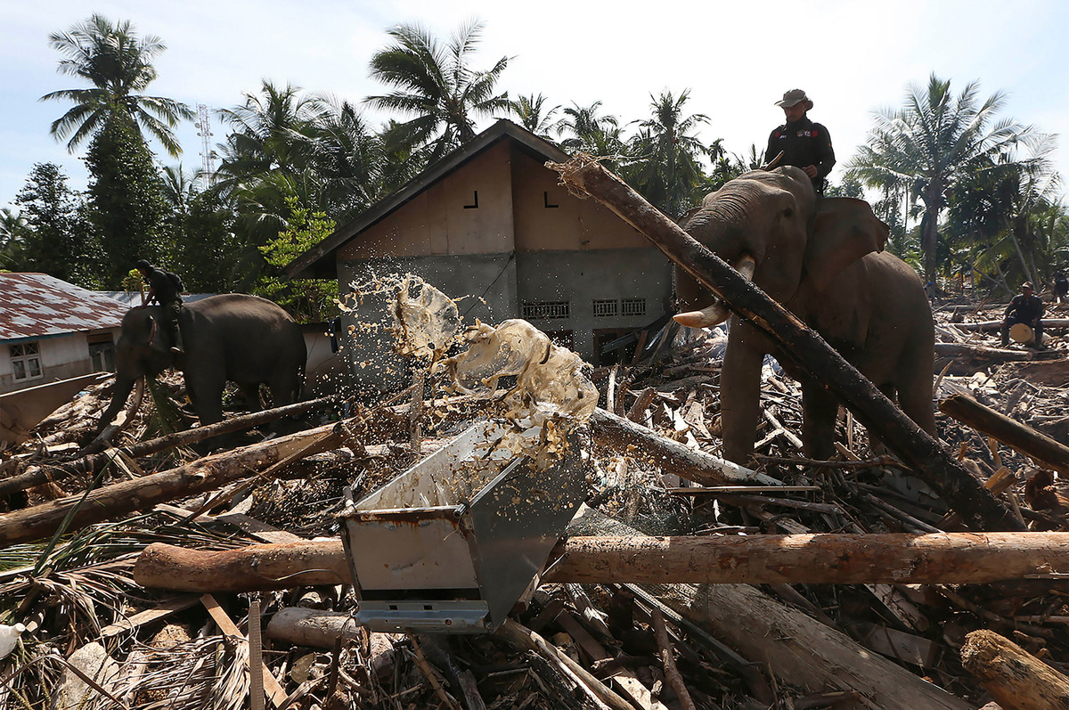 Potret Perubahan Bangunan di Pidie Jaya Pasca Bencana Banjir Bandang dan Tanah Longsor
