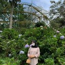 Bellin Nafila Maulidiya