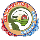 KKN Desa Manang