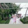 Bunga Amelia