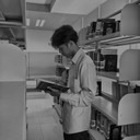 Topik Maulana