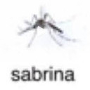 iOlinnf