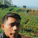 Alfian Teguh