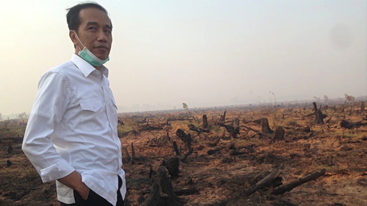 Jokowi meninjau kebakaran hutan